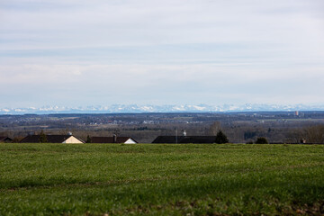 View from Germany across a green meadow to the snow-capped Alps in Switzerland in spring