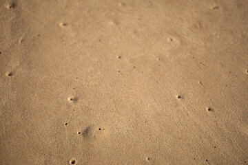 Wet Sand texture. Sandy ocean beach for background. Top view