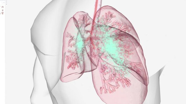 respiratory rate, or your breathing rate, is the number of breaths you take per minute