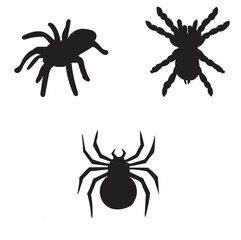 Dangerous tarantula spiders silhouette- vector illustration