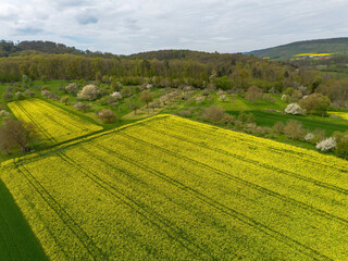Fototapeta na wymiar Landscape with yellow blooming rapeseed and other fields taken with the drone from above, in Germany