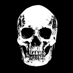 picture of the front side of the skull
