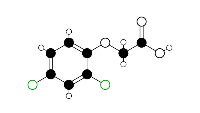 2.4-dichlorophenoxyacetic acid molecule, structural chemical formula, ball-and-stick model, isolated image herbicide