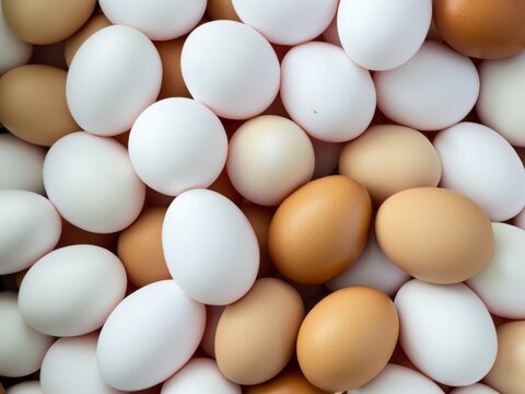 white and bron eggs  background