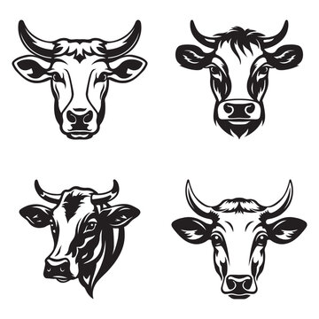 cow logo set - Premium design collection - Vector Illustration