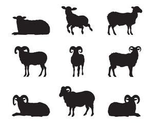 Sheep and silhouette set - isolated vector images of wild animals