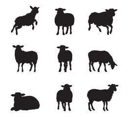 Sheep silhouette set - isolated vector images of wild animals