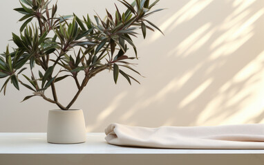  Luxury organic cosmetic display with soft beige cotton tablecloth, tropical plant, and sunlight.