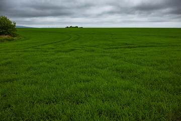 2023-06-04 LUSH GREEN GRASS FIELD WITH A GREY CLOUDY SKY OUTSIDE OF TAIN SCOTLAND