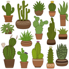 Cute pattern with cactus plant in pots