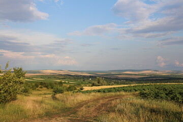A landscape with a dirt road and trees