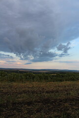 A field with trees and clouds