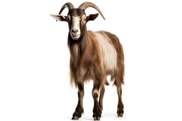 goat full body white isolated background AI Generated