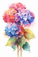 Colorful Hydrangeas watercolor illustration. AI generated