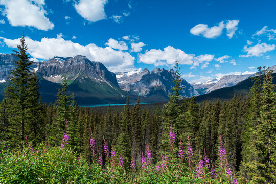 Icefields Parkway, Alberta Canada, Banff and Jasper National Park