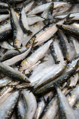 fish stall at a market in Portugal. Fresh chilled variety fish