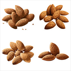 Beautiful Almond set in solid background,  vector illustration