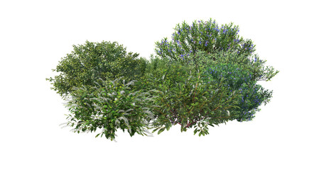 Small garden with multiple plants on transparent background