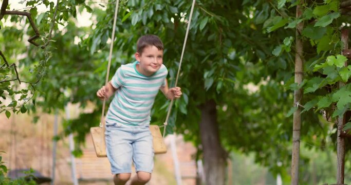 Happy little boy swinging on a swing in the garden. 