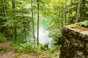 Natural scenery in a small forest at the lake Waegitalersee in Switzerland
