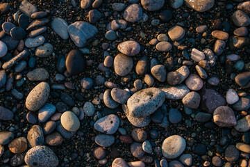 pebbles and shells