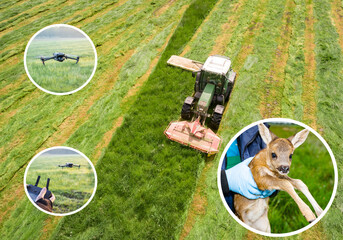 Abmähen einer Wiese mit landwirtschaftlichen Maschinen, Drohnen helfen Kitzmähtod zu verhindern - Luftaufnahme © Countrypixel