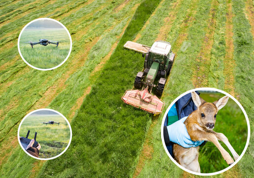 Abm&auml;hen einer Wiese mit landwirtschaftlichen Maschinen, Drohnen helfen Kitzm&auml;htod zu verhindern - Luftaufnahme