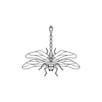 recommend clip art: dragonfly insect vector illustration concept