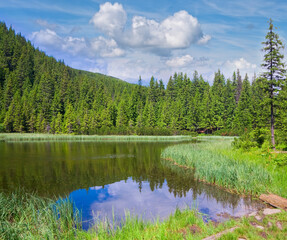 Obraz premium Summer mountain lake Marichejka and fir forest reflection (Ukraine, Chornogora Ridge, Carpathian Mountains)