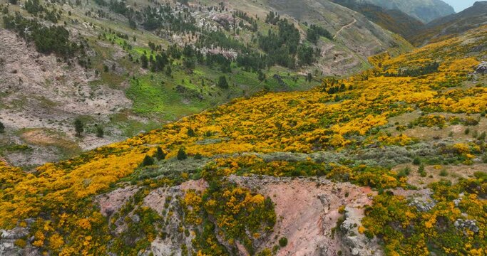Pico do Areeiro, Madeira: Stunning aerial view of majestic mountain peak and mountain valley. Hikers, nomads, and sightseers embrace the captivating landscape.