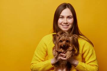 young girl with a dog Yorkshire terrier on a yellow clean background