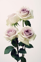 Three white roses in a vase on a table. Generative AI.