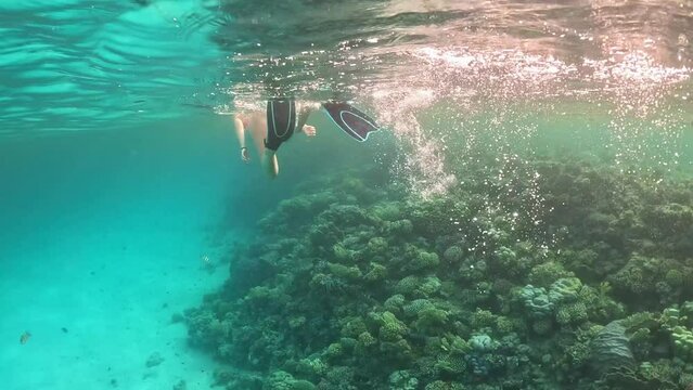 snorkeling beautiful brunette woman underwater, coral reef in the sea