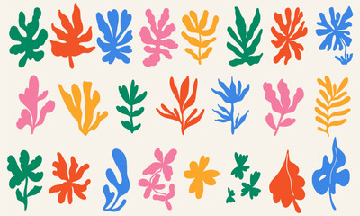Fototapeta na wymiar Set of hand drawn exotic jungle leaves, flowers and plants. Abstract modern trendy vector illustration. Perfect for posters, instagram posts, stickers.
