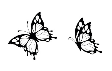Butterfly vector stencils eps 10