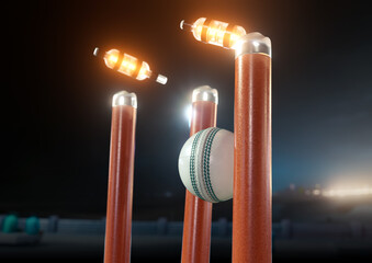 Ball Striking Illuminated Cricket Wickets - obrazy, fototapety, plakaty