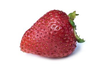 fresas, fresas ricas