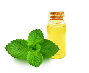 mint oil in bottle isolated on white background