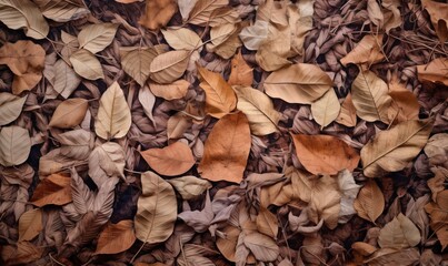  a bunch of leaves that are laying on the ground together.  generative ai