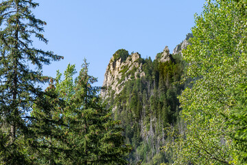 Tatra National Park, Polish Tatra Mountains © Dreamnordno