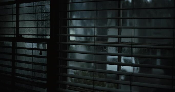 Rainy street through blindes from inside house
