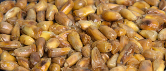 Fototapeta premium Peruvian chulpe corn kernels (raw roasted cancha nuts) for ceviche or cebiche (fried popcorn, maiz, cuzco, maize, toasted ancient grains) cooked product of Peru, Ecuador, Colombia, chulpi alimentos