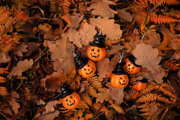 jack-o' lantern garland on autumn leaves, abstract dark forest natural background. symbol of...