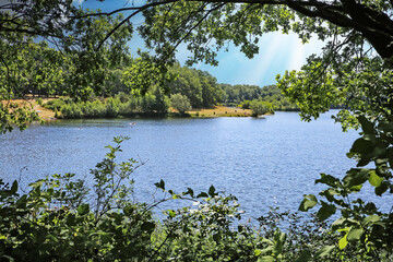 Beautiful idyllic dutch swimming lake, natural beach, green forest trees -  Leukermeer, Limburg, Netherlands