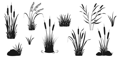Silhouette elements of reeds and aquatic vegetation. Tall marsh grass for design. - obrazy, fototapety, plakaty
