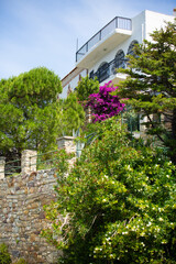 Fototapeta na wymiar Foça (Phokai) is a small town in the north of Izmir. Stone house decorated with pink flowers, trees and ivy
