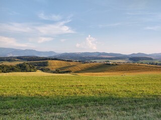 Wheat field during sunnrise or sunset. Slovakia	