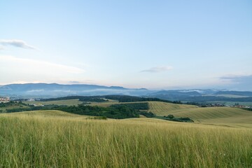 Wheat field during sunnrise or sunset. Slovakia	