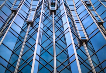 Fototapeta premium office building