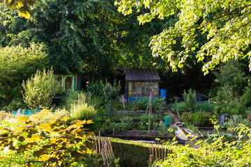 An old wooden house in the woods